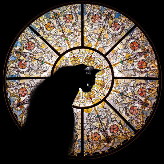 🐈‍⬛Cathedral Cat Wooden Jigsaw Puzzle - 372PCS